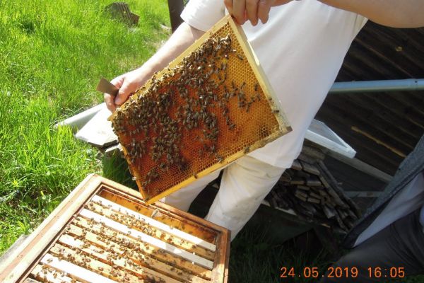 dscn7579F35F2974-3F91-B1D8-9BB5-BD451D408EA6.jpg